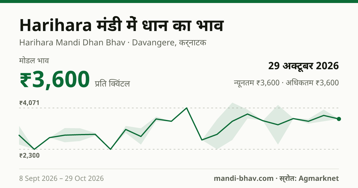 Harihara मंडी में धान का भाव 29 अक्टूबर 2026: मोडल ₹3,600 प्रति क्विंटल, भाव के रुझान का चार्ट