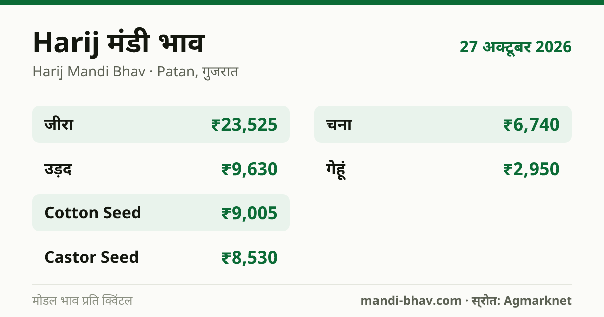 Harij मंडी भाव 27 अक्टूबर 2026: फसलवार मोडल रेट प्रति क्विंटल