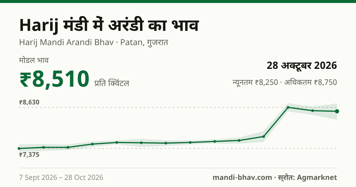 Harij मंडी में Castor Seed का भाव 28 अक्टूबर 2026: मोडल ₹8,510 प्रति क्विंटल, भाव के रुझान का चार्ट
