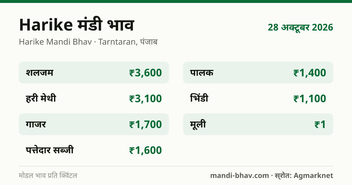 Harike मंडी भाव 28 अक्टूबर 2026: फसलवार मोडल रेट प्रति क्विंटल