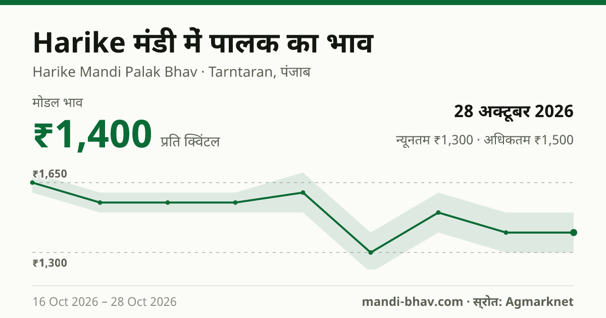 Harike मंडी में पालक का भाव 28 अक्टूबर 2026: मोडल ₹1,400 प्रति क्विंटल, भाव के रुझान का चार्ट