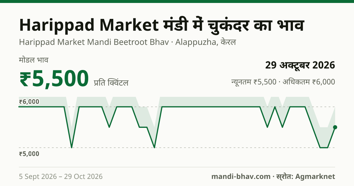 Harippad Market मंडी में चुकंदर का भाव 29 अक्टूबर 2026: मोडल ₹5,500 प्रति क्विंटल, भाव के रुझान का चार्ट