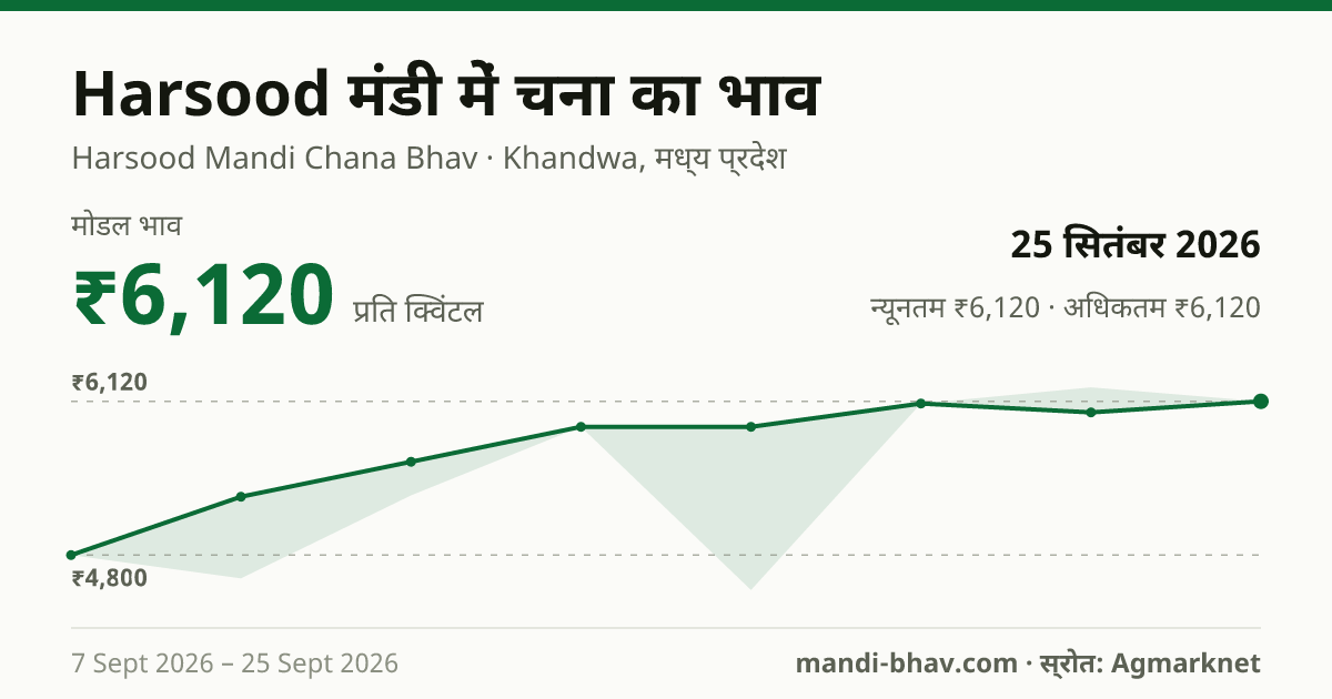 Harsood मंडी में चना का भाव 25 सितंबर 2026: मोडल ₹6,120 प्रति क्विंटल, भाव के रुझान का चार्ट