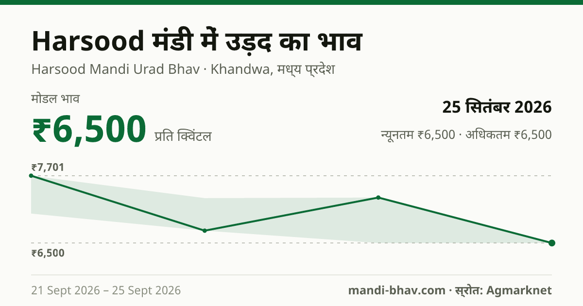 Harsood मंडी में उड़द का भाव 25 सितंबर 2026: मोडल ₹6,500 प्रति क्विंटल, भाव के रुझान का चार्ट