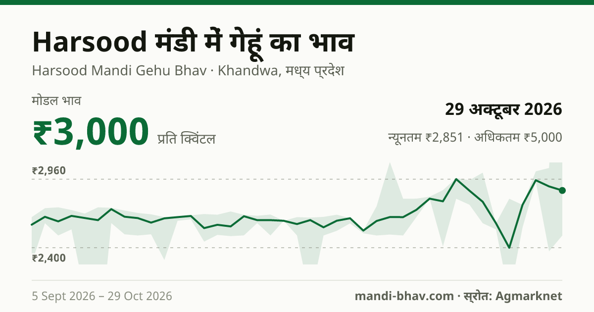 Harsood मंडी में गेहूं का भाव 29 अक्टूबर 2026: मोडल ₹3,000 प्रति क्विंटल, भाव के रुझान का चार्ट