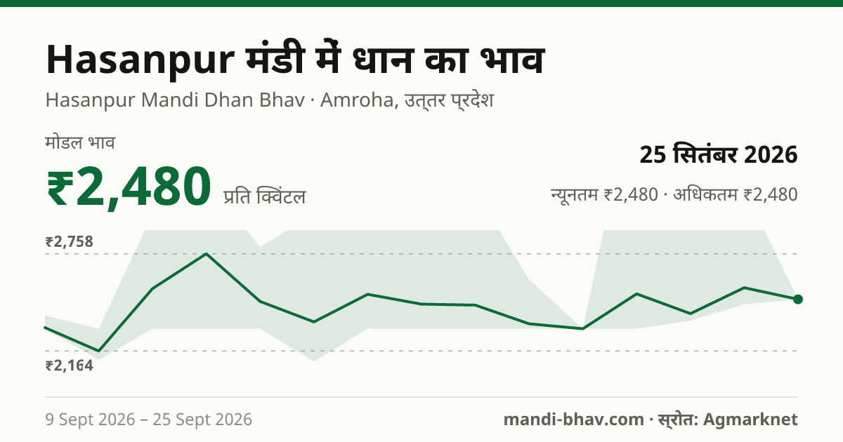 Hasanpur मंडी में धान का भाव 25 सितंबर 2026: मोडल ₹2,480 प्रति क्विंटल, भाव के रुझान का चार्ट