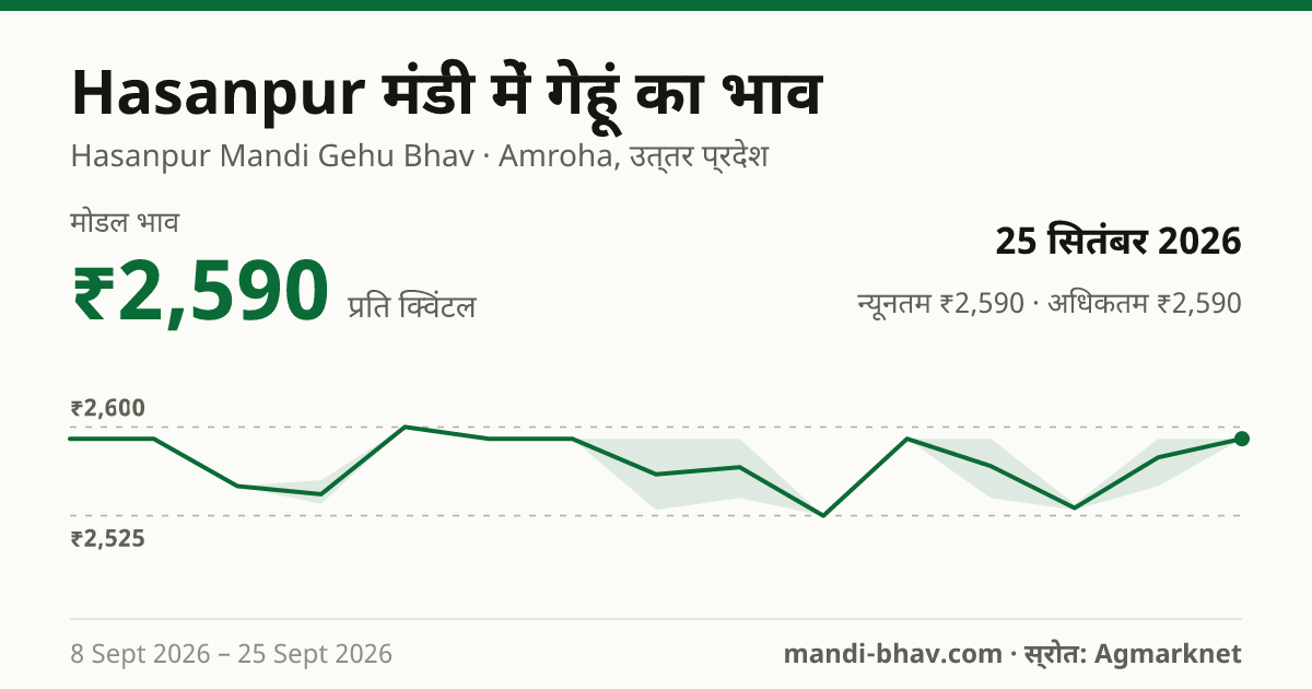 Hasanpur मंडी में गेहूं का भाव 25 सितंबर 2026: मोडल ₹2,590 प्रति क्विंटल, भाव के रुझान का चार्ट