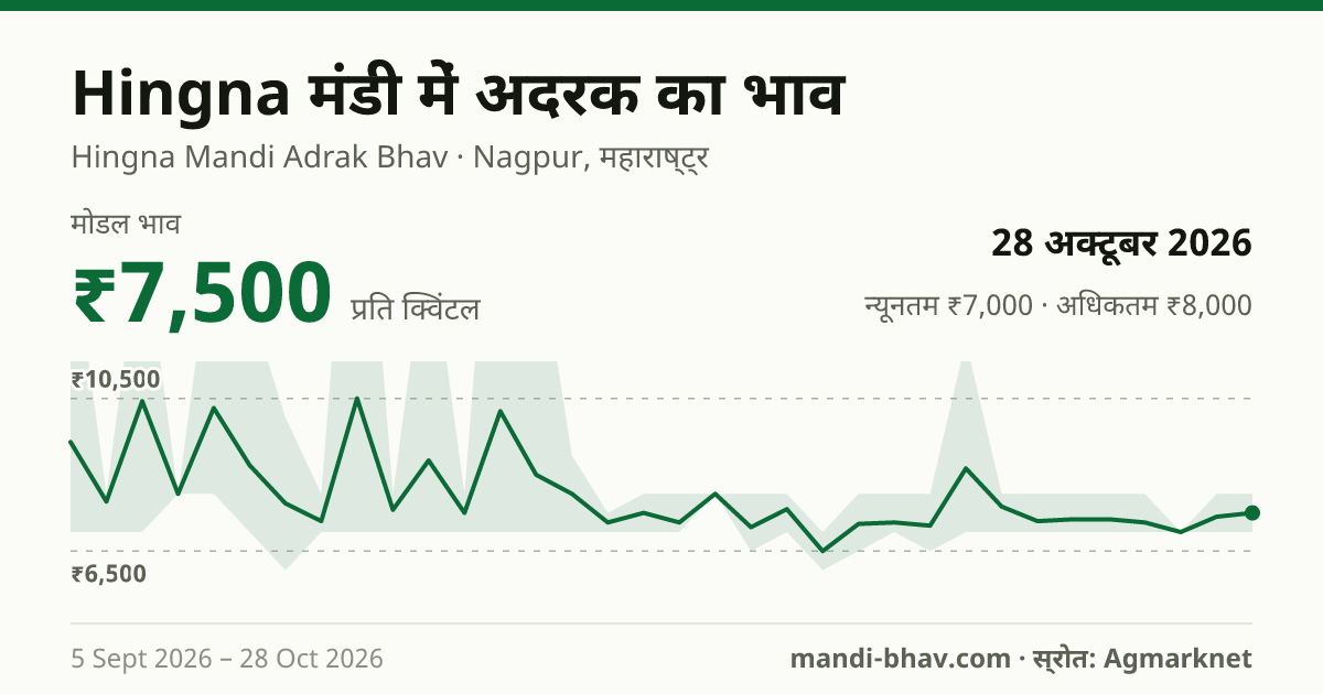 Hingna मंडी में अदरक का भाव 28 अक्टूबर 2026: मोडल ₹7,500 प्रति क्विंटल, भाव के रुझान का चार्ट