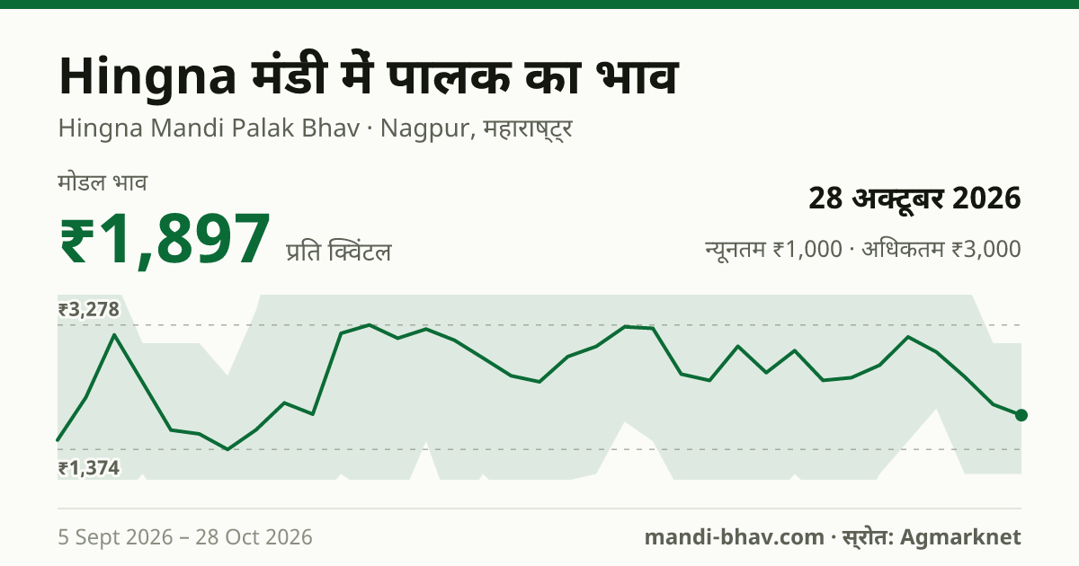 Hingna मंडी में पालक का भाव 28 अक्टूबर 2026: मोडल ₹1,897 प्रति क्विंटल, भाव के रुझान का चार्ट