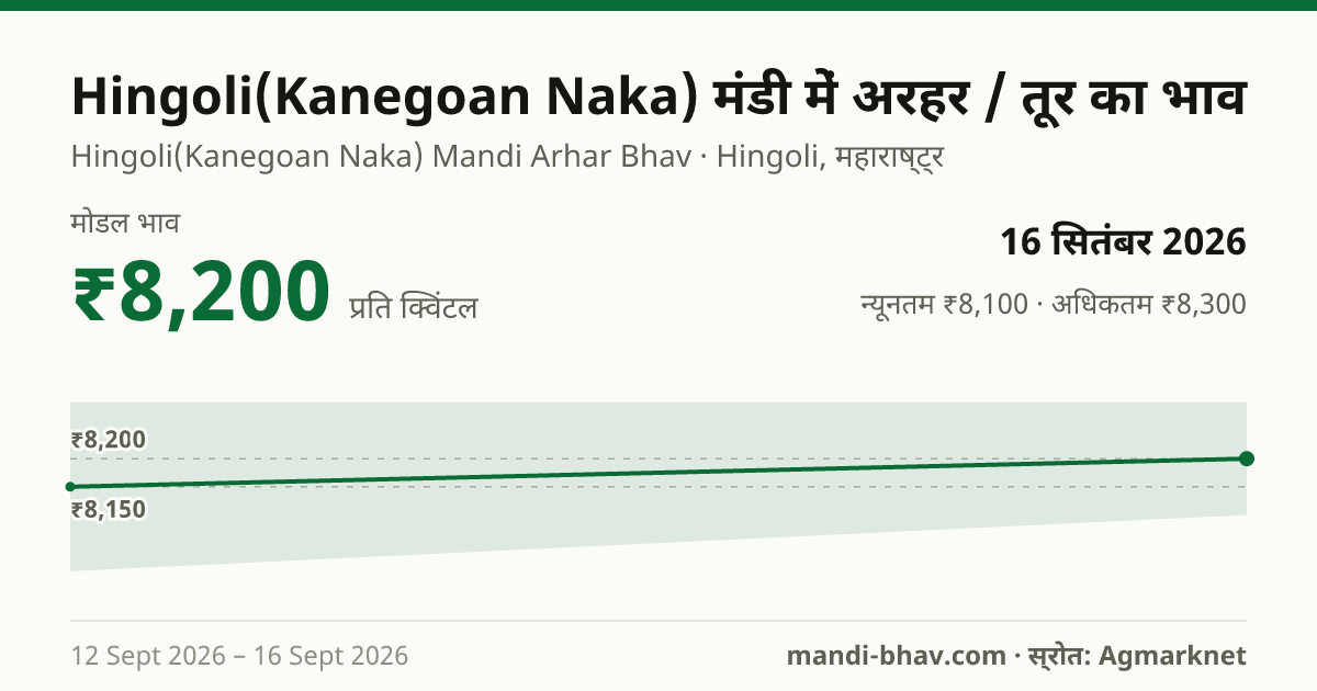 Hingoli(Kanegoan Naka) मंडी में अरहर / तूर का भाव 16 सितंबर 2026: मोडल ₹8,200 प्रति क्विंटल, भाव के रुझान का चार्ट
