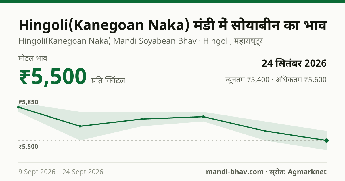 Hingoli(Kanegoan Naka) मंडी में सोयाबीन का भाव 24 सितंबर 2026: मोडल ₹5,500 प्रति क्विंटल, भाव के रुझान का चार्ट