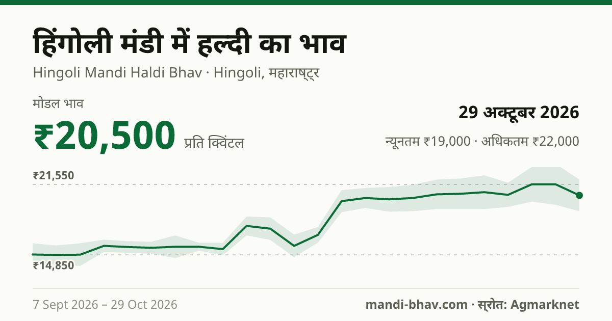 हिंगोली मंडी में हल्दी का भाव 29 अक्टूबर 2026: मोडल ₹20,500 प्रति क्विंटल, भाव के रुझान का चार्ट