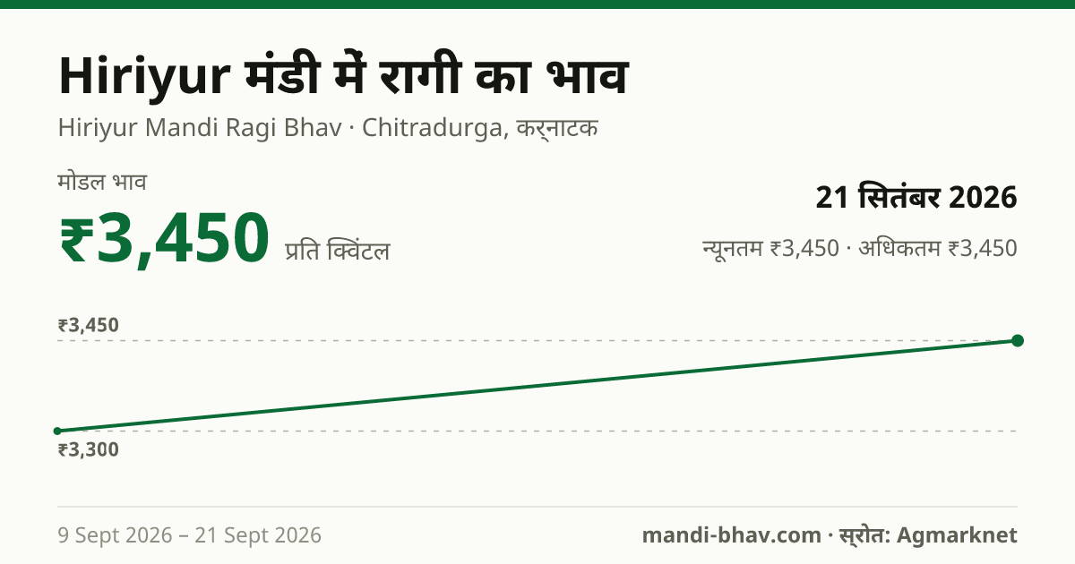 Hiriyur मंडी में रागी का भाव 21 सितंबर 2026: मोडल ₹3,450 प्रति क्विंटल, भाव के रुझान का चार्ट