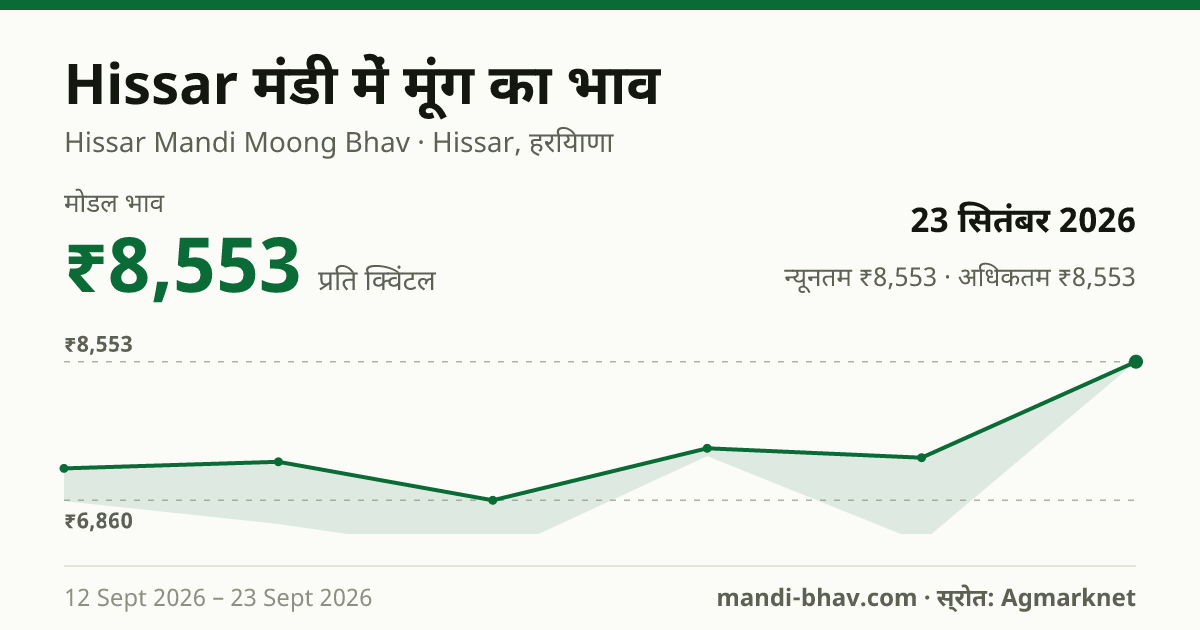 Hissar मंडी में मूंग का भाव 23 सितंबर 2026: मोडल ₹8,553 प्रति क्विंटल, भाव के रुझान का चार्ट