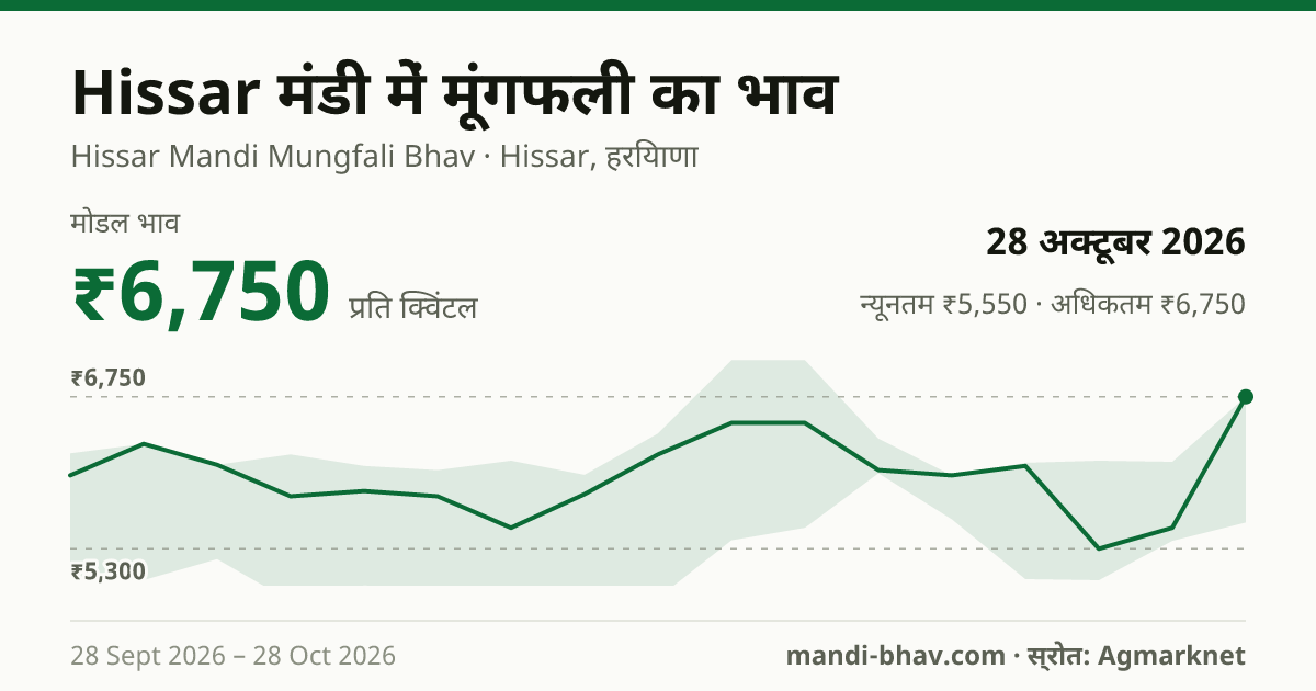 Hissar मंडी में मूंगफली का भाव 28 अक्टूबर 2026: मोडल ₹6,750 प्रति क्विंटल, भाव के रुझान का चार्ट