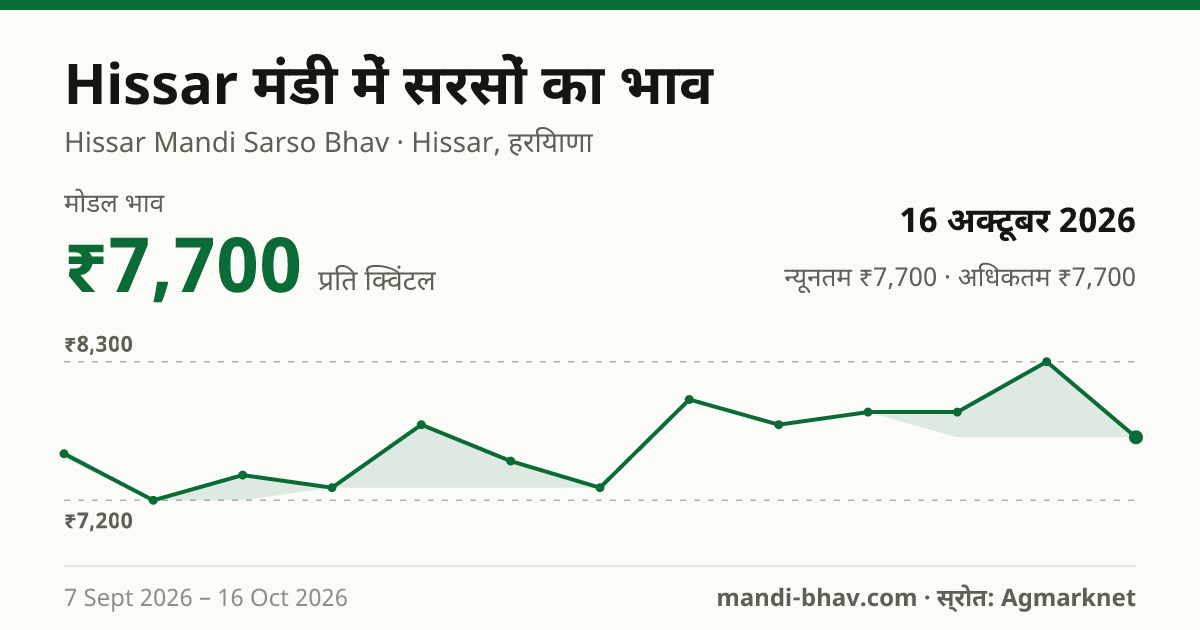 Hissar मंडी में सरसों का भाव 16 अक्टूबर 2026: मोडल ₹7,700 प्रति क्विंटल, भाव के रुझान का चार्ट