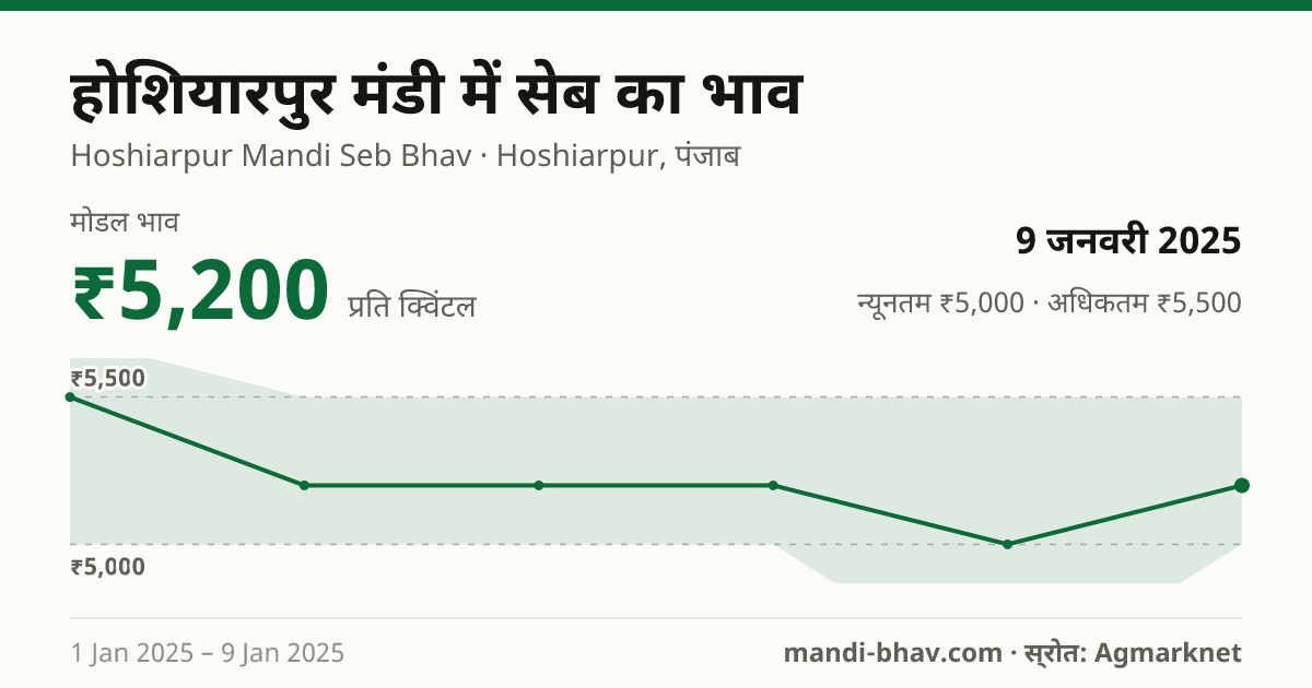 होशियारपुर मंडी में सेब का भाव 9 जनवरी 2025: मोडल ₹5,200 प्रति क्विंटल, भाव के रुझान का चार्ट