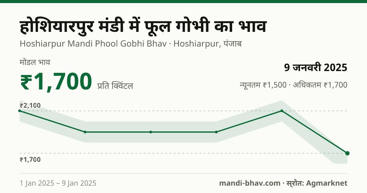 होशियारपुर मंडी में फूल गोभी का भाव 9 जनवरी 2025: मोडल ₹1,700 प्रति क्विंटल, भाव के रुझान का चार्ट