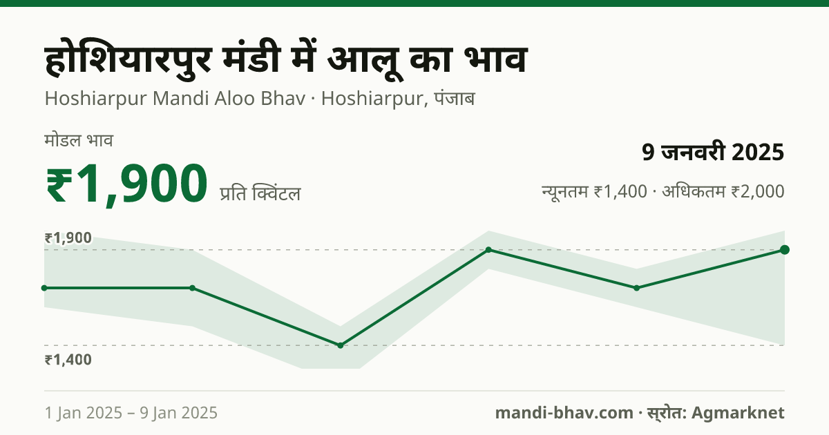 होशियारपुर मंडी में आलू का भाव 9 जनवरी 2025: मोडल ₹1,900 प्रति क्विंटल, भाव के रुझान का चार्ट