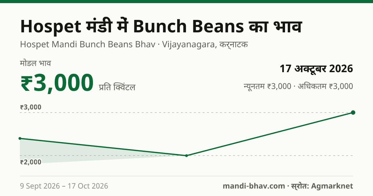 Hospet मंडी में Bunch Beans का भाव 17 अक्टूबर 2026: मोडल ₹3,000 प्रति क्विंटल, भाव के रुझान का चार्ट