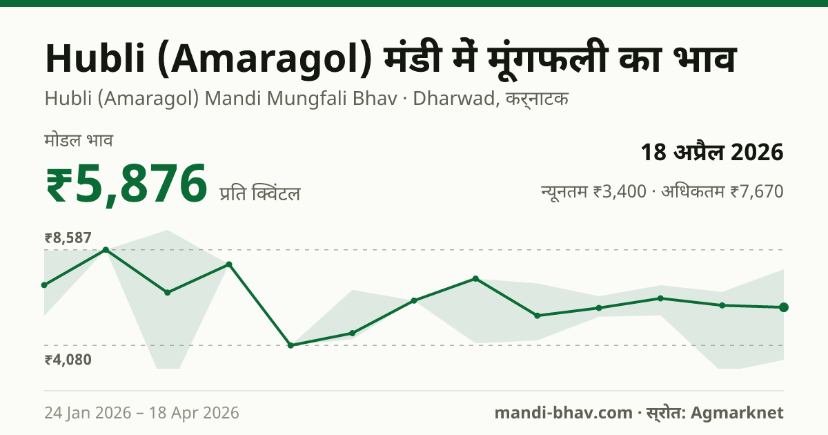 Hubli (Amaragol) मंडी में मूंगफली का भाव 18 अप्रैल 2026: मोडल ₹5,876 प्रति क्विंटल, भाव के रुझान का चार्ट