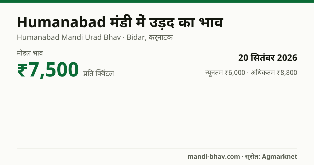 Humanabad मंडी में उड़द का भाव 20 सितंबर 2026: मोडल ₹7,500 प्रति क्विंटल, भाव के रुझान का चार्ट