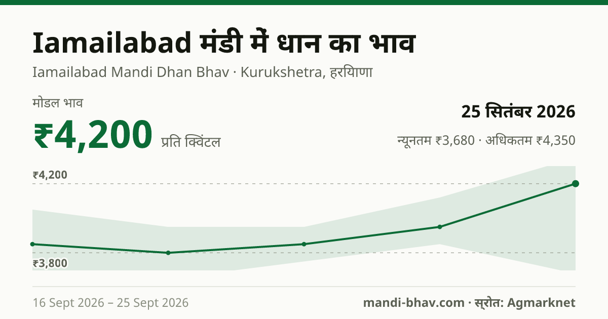 Iamailabad मंडी में धान का भाव 25 सितंबर 2026: मोडल ₹4,200 प्रति क्विंटल, भाव के रुझान का चार्ट