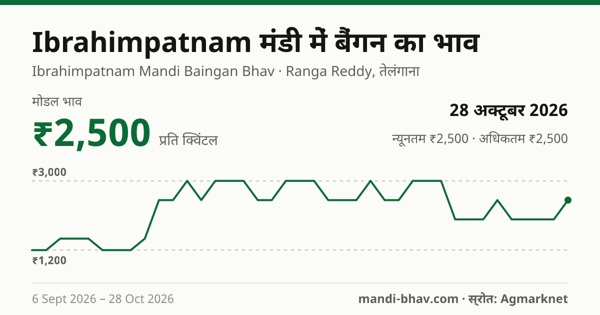 Ibrahimpatnam मंडी में बैंगन का भाव 28 अक्टूबर 2026: मोडल ₹2,500 प्रति क्विंटल, भाव के रुझान का चार्ट