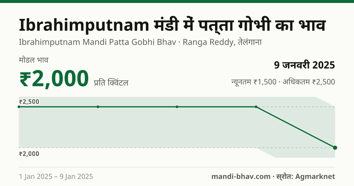 Ibrahimputnam मंडी में पत्ता गोभी का भाव 9 जनवरी 2025: मोडल ₹2,000 प्रति क्विंटल, भाव के रुझान का चार्ट