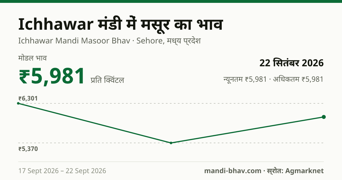Ichhawar मंडी में मसूर का भाव 22 सितंबर 2026: मोडल ₹5,981 प्रति क्विंटल, भाव के रुझान का चार्ट