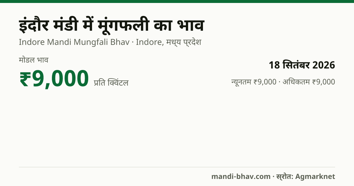 इंदौर मंडी में मूंगफली का भाव 18 सितंबर 2026: मोडल ₹9,000 प्रति क्विंटल, भाव के रुझान का चार्ट