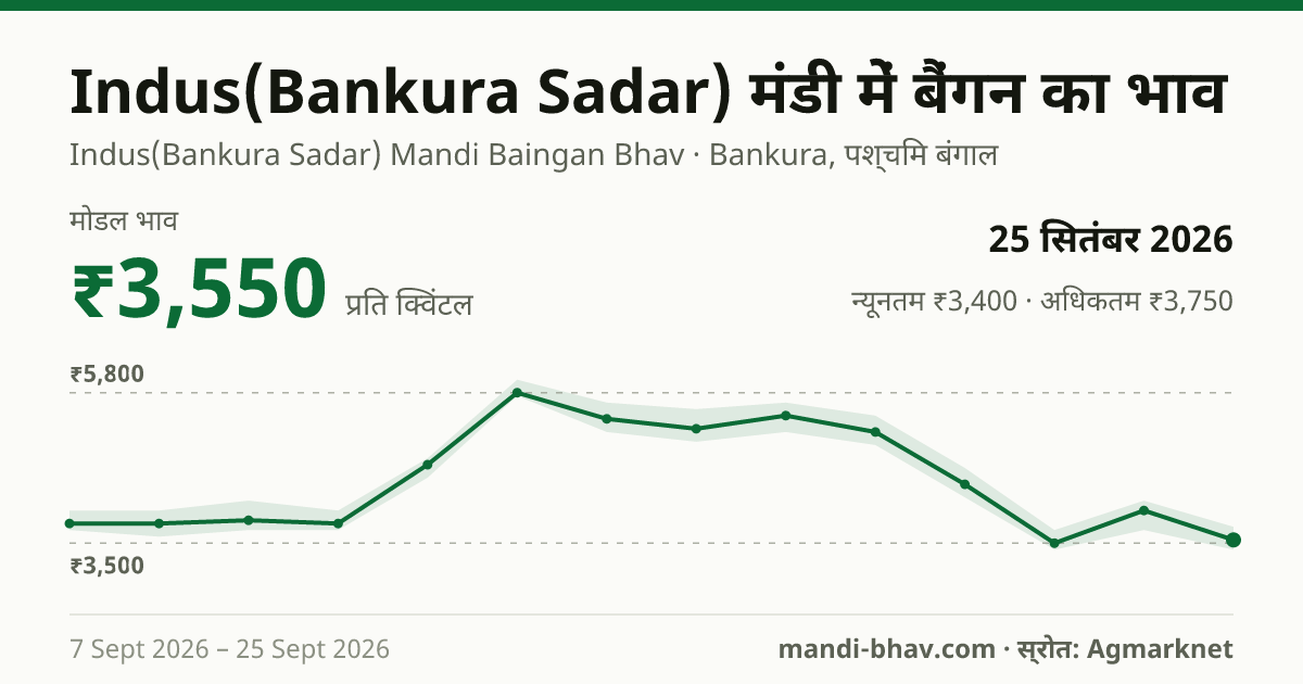 Indus(Bankura Sadar) मंडी में बैंगन का भाव 25 सितंबर 2026: मोडल ₹3,550 प्रति क्विंटल, भाव के रुझान का चार्ट