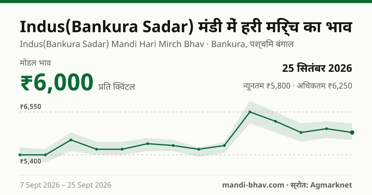 Indus(Bankura Sadar) मंडी में हरी मिर्च का भाव 25 सितंबर 2026: मोडल ₹6,000 प्रति क्विंटल, भाव के रुझान का चार्ट