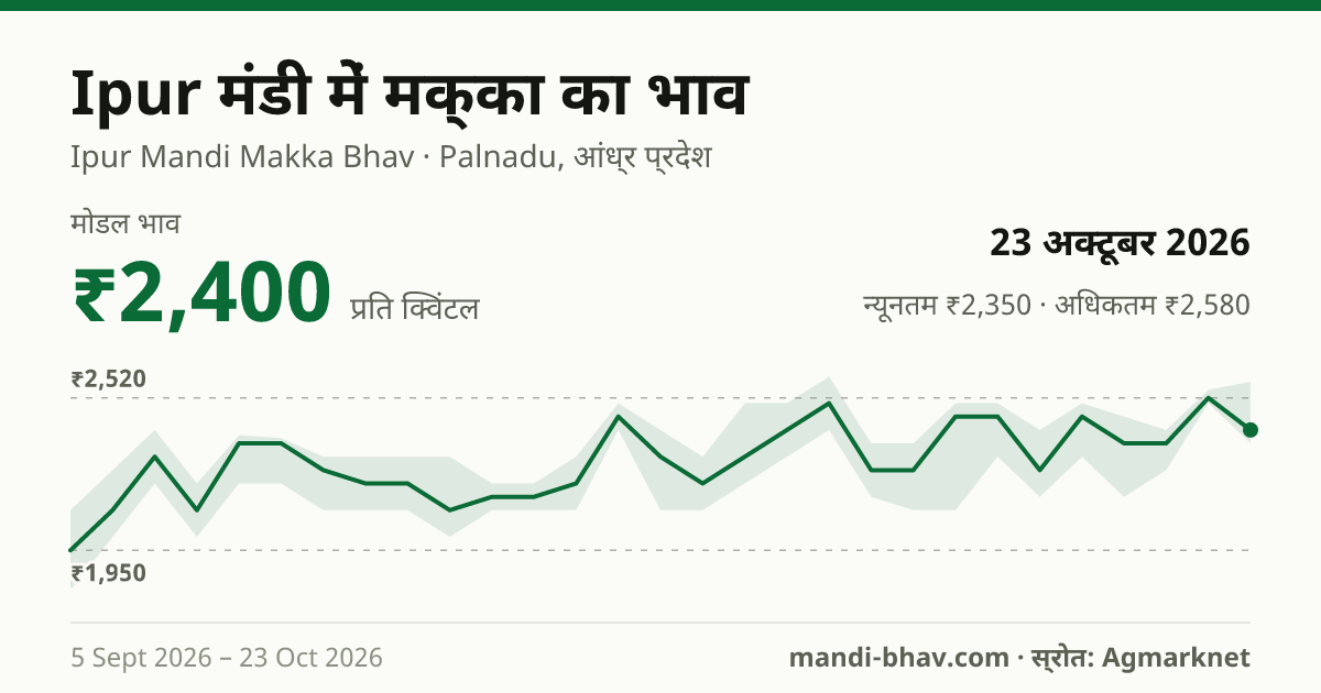 Ipur मंडी में मक्का का भाव 23 अक्टूबर 2026: मोडल ₹2,400 प्रति क्विंटल, भाव के रुझान का चार्ट