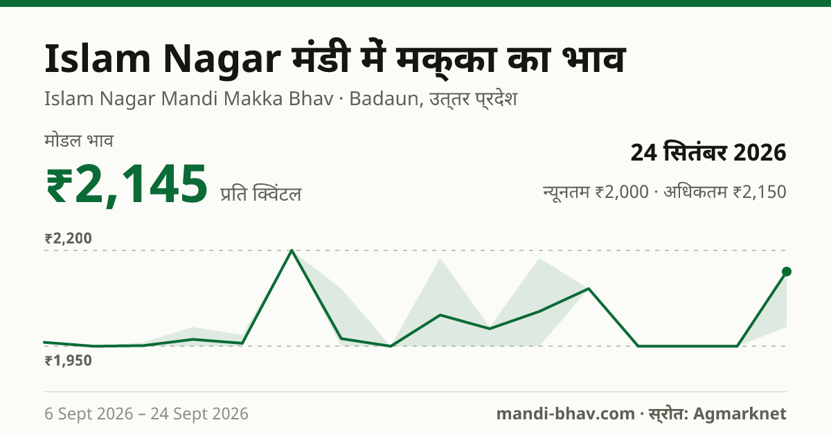 Islam Nagar मंडी में मक्का का भाव 24 सितंबर 2026: मोडल ₹2,145 प्रति क्विंटल, भाव के रुझान का चार्ट