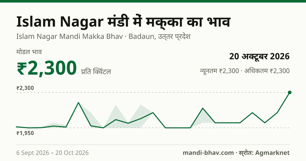 Islam Nagar मंडी में मक्का का भाव 20 अक्टूबर 2026: मोडल ₹2,300 प्रति क्विंटल, भाव के रुझान का चार्ट