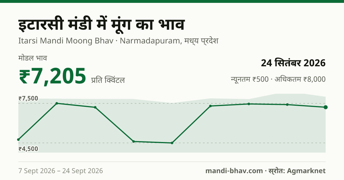 इटारसी मंडी में मूंग का भाव 24 सितंबर 2026: मोडल ₹7,205 प्रति क्विंटल, भाव के रुझान का चार्ट