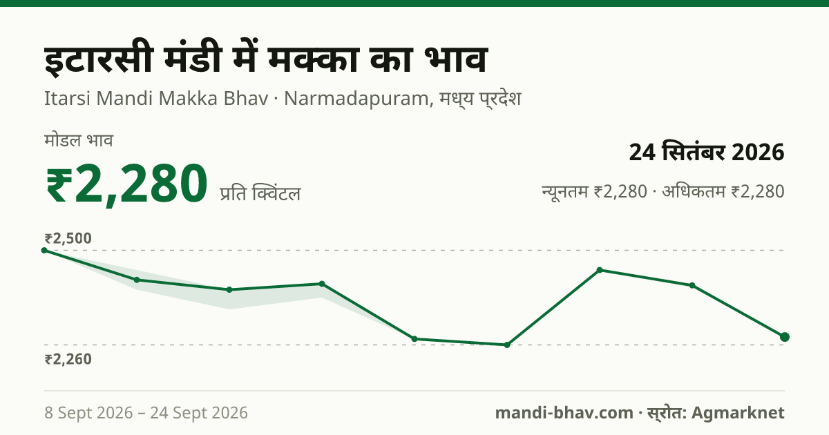 इटारसी मंडी में मक्का का भाव 24 सितंबर 2026: मोडल ₹2,280 प्रति क्विंटल, भाव के रुझान का चार्ट