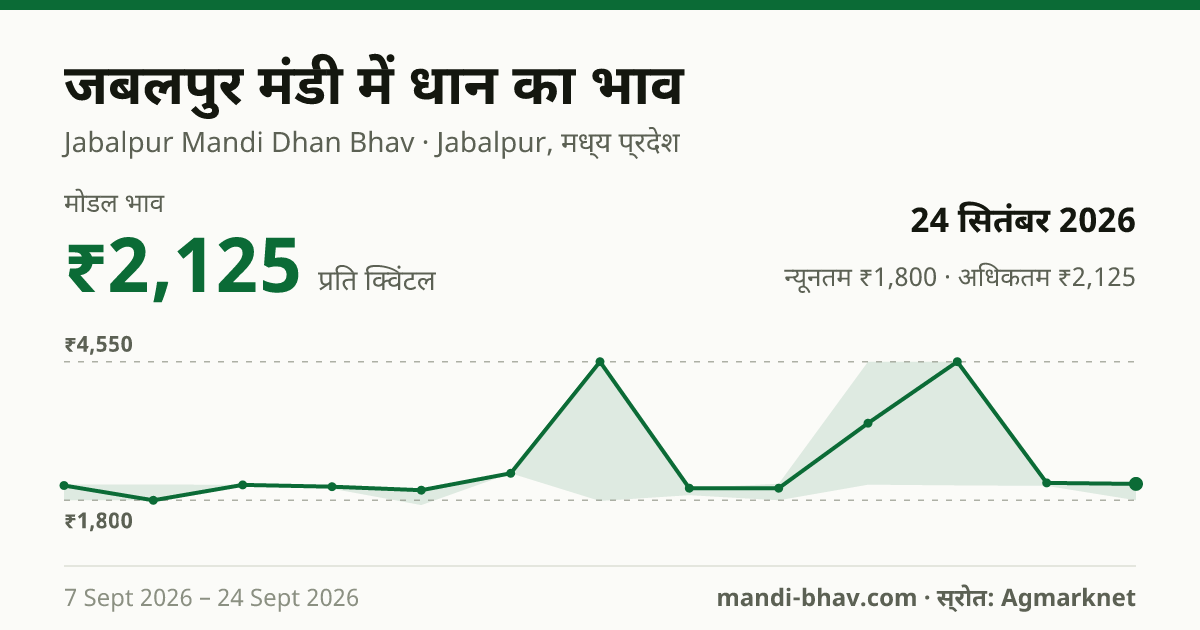 जबलपुर मंडी में धान का भाव 24 सितंबर 2026: मोडल ₹2,125 प्रति क्विंटल, भाव के रुझान का चार्ट