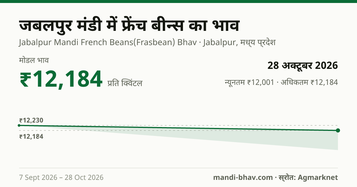 जबलपुर मंडी में फ्रेंच बीन्स का भाव 28 अक्टूबर 2026: मोडल ₹12,184 प्रति क्विंटल, भाव के रुझान का चार्ट