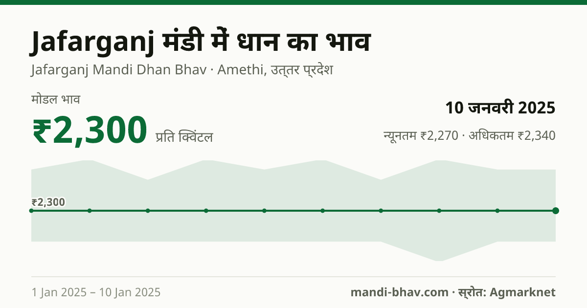 Jafarganj मंडी में धान का भाव 10 जनवरी 2025: मोडल ₹2,300 प्रति क्विंटल, भाव के रुझान का चार्ट