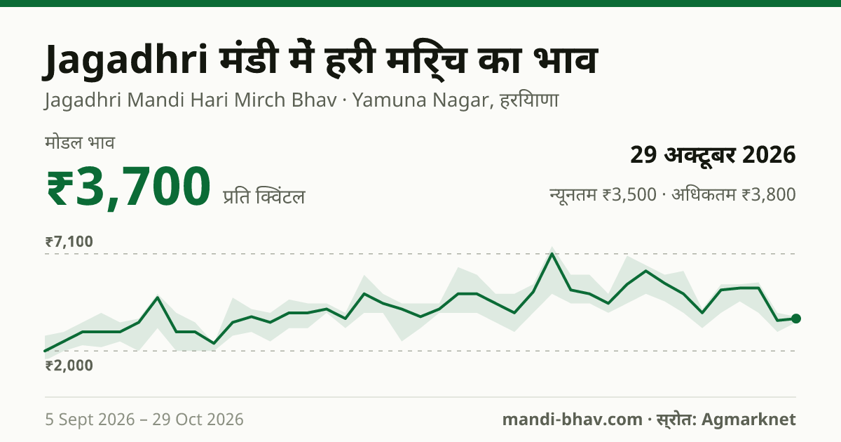 Jagadhri मंडी में हरी मिर्च का भाव 29 अक्टूबर 2026: मोडल ₹3,700 प्रति क्विंटल, भाव के रुझान का चार्ट