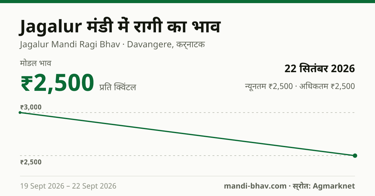 Jagalur मंडी में रागी का भाव 22 सितंबर 2026: मोडल ₹2,500 प्रति क्विंटल, भाव के रुझान का चार्ट