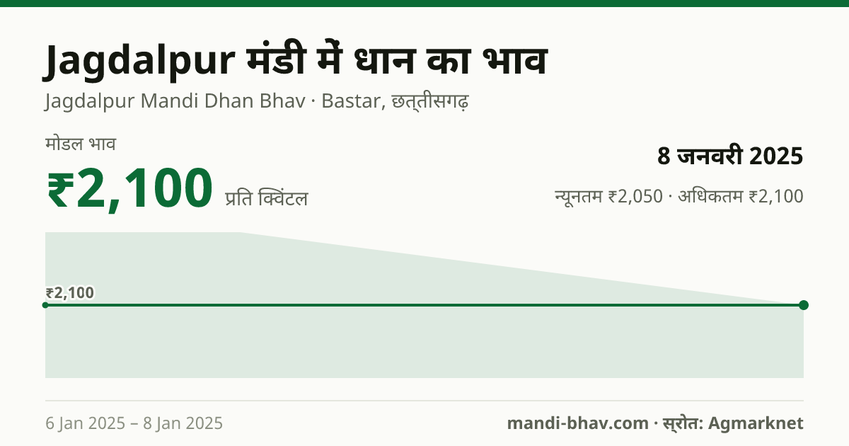Jagdalpur मंडी में धान का भाव 8 जनवरी 2025: मोडल ₹2,100 प्रति क्विंटल, भाव के रुझान का चार्ट