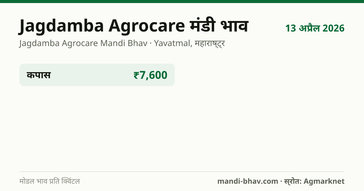 Jagdamba Agrocare मंडी भाव 13 अप्रैल 2026: फसलवार मोडल रेट प्रति क्विंटल