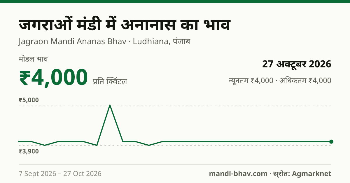 जगराओं मंडी में अनानास का भाव 27 अक्टूबर 2026: मोडल ₹4,000 प्रति क्विंटल, भाव के रुझान का चार्ट
