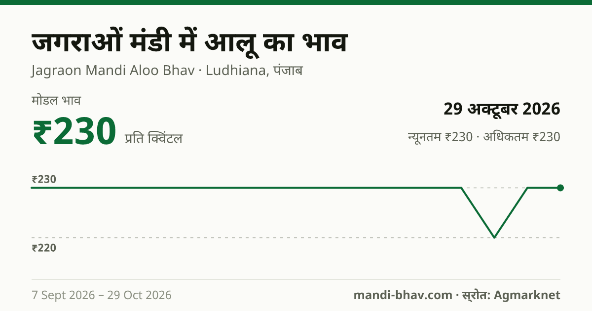 जगराओं मंडी में आलू का भाव 29 अक्टूबर 2026: मोडल ₹230 प्रति क्विंटल, भाव के रुझान का चार्ट