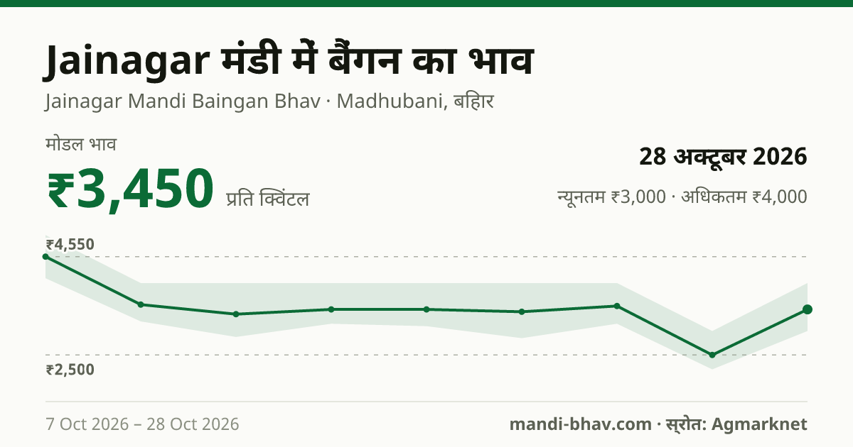 Jainagar मंडी में बैंगन का भाव 28 अक्टूबर 2026: मोडल ₹3,450 प्रति क्विंटल, भाव के रुझान का चार्ट