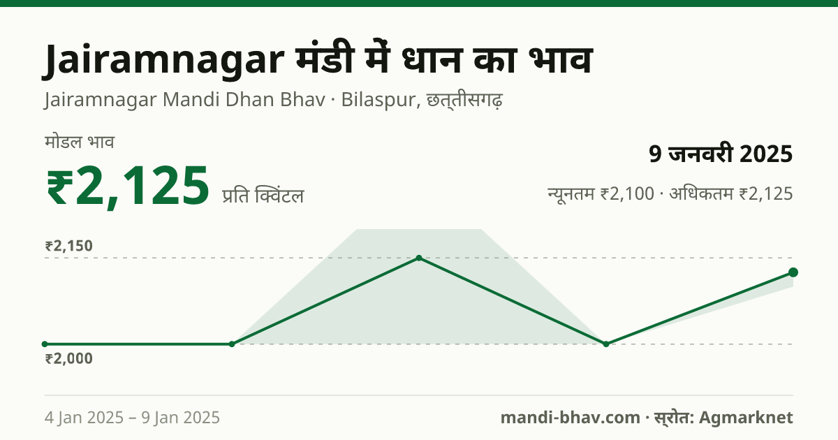 Jairamnagar मंडी में धान का भाव 9 जनवरी 2025: मोडल ₹2,125 प्रति क्विंटल, भाव के रुझान का चार्ट