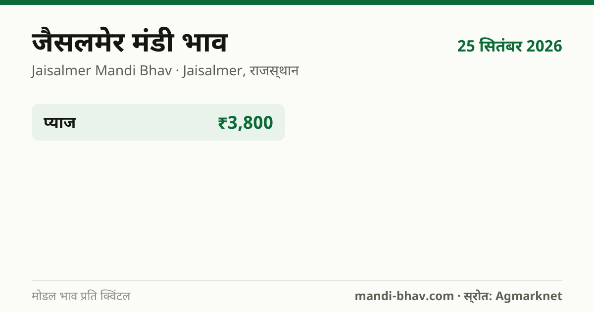 जैसलमेर मंडी भाव 25 सितंबर 2026: फसलवार मोडल रेट प्रति क्विंटल